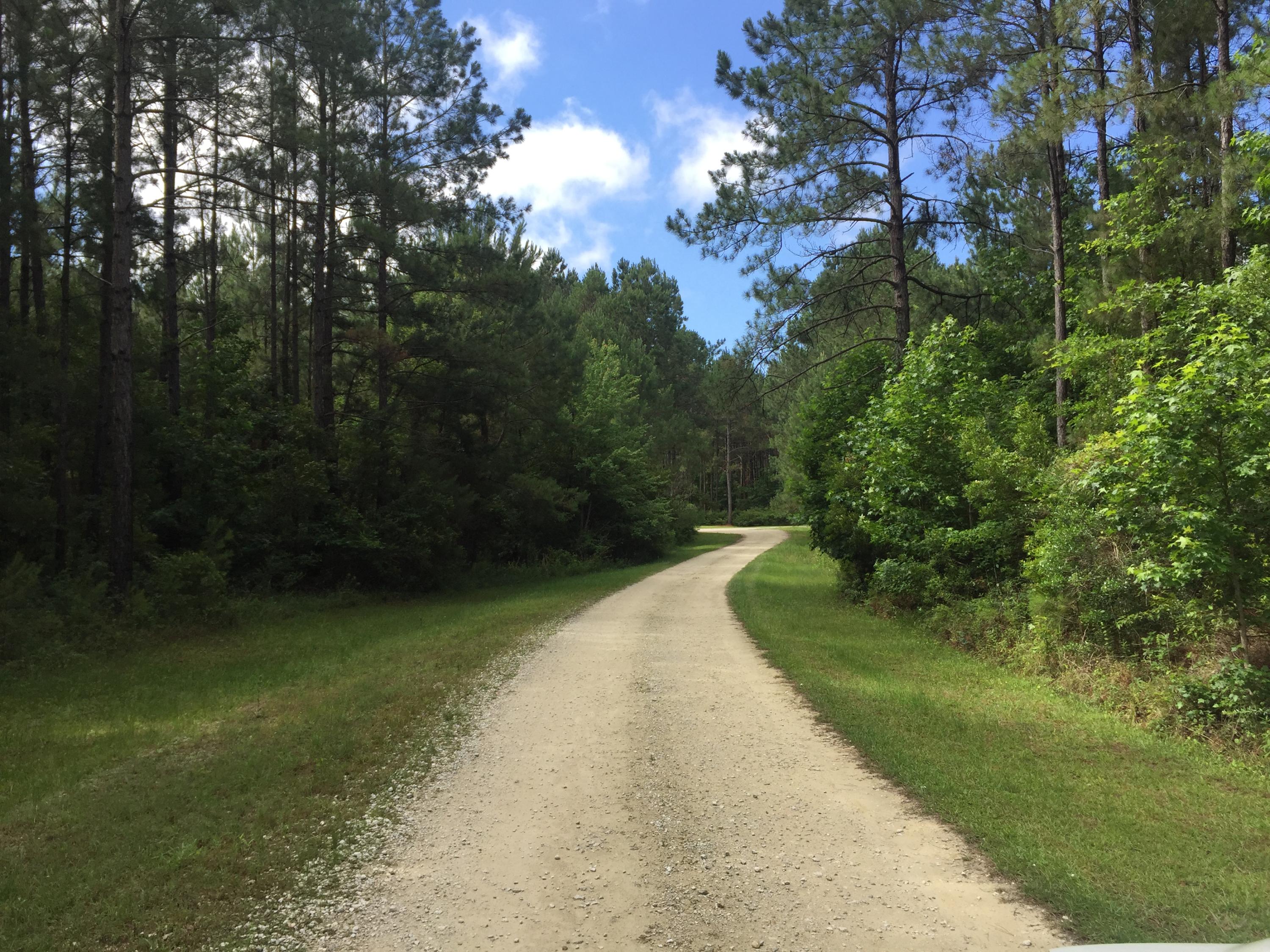 0 Bridle Gate Awendaw, SC 29429 - Photo 1 of 2 road