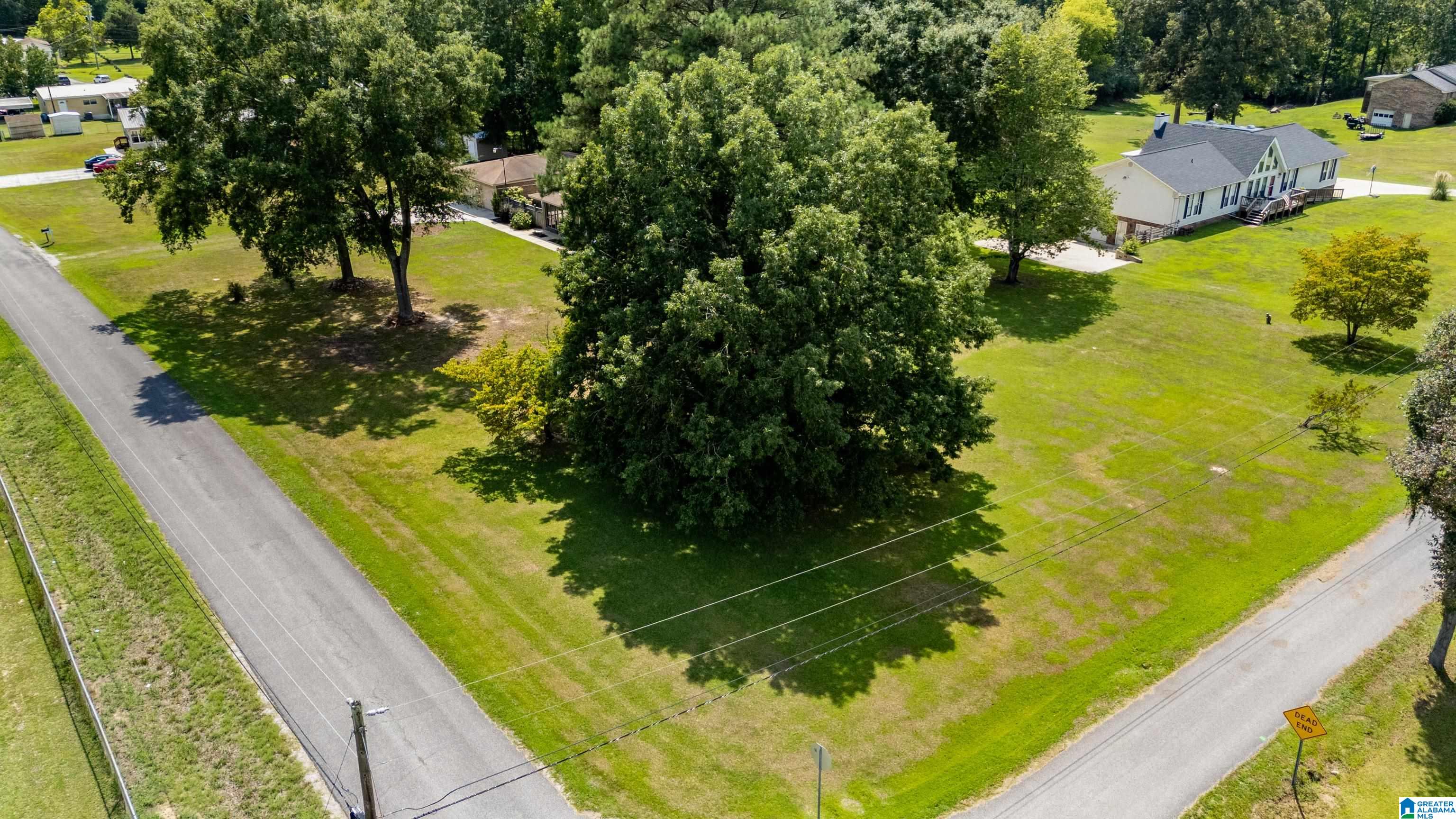 6352 Ball Park Road Mount Olive, AL 35117 - Photo 34 of 41