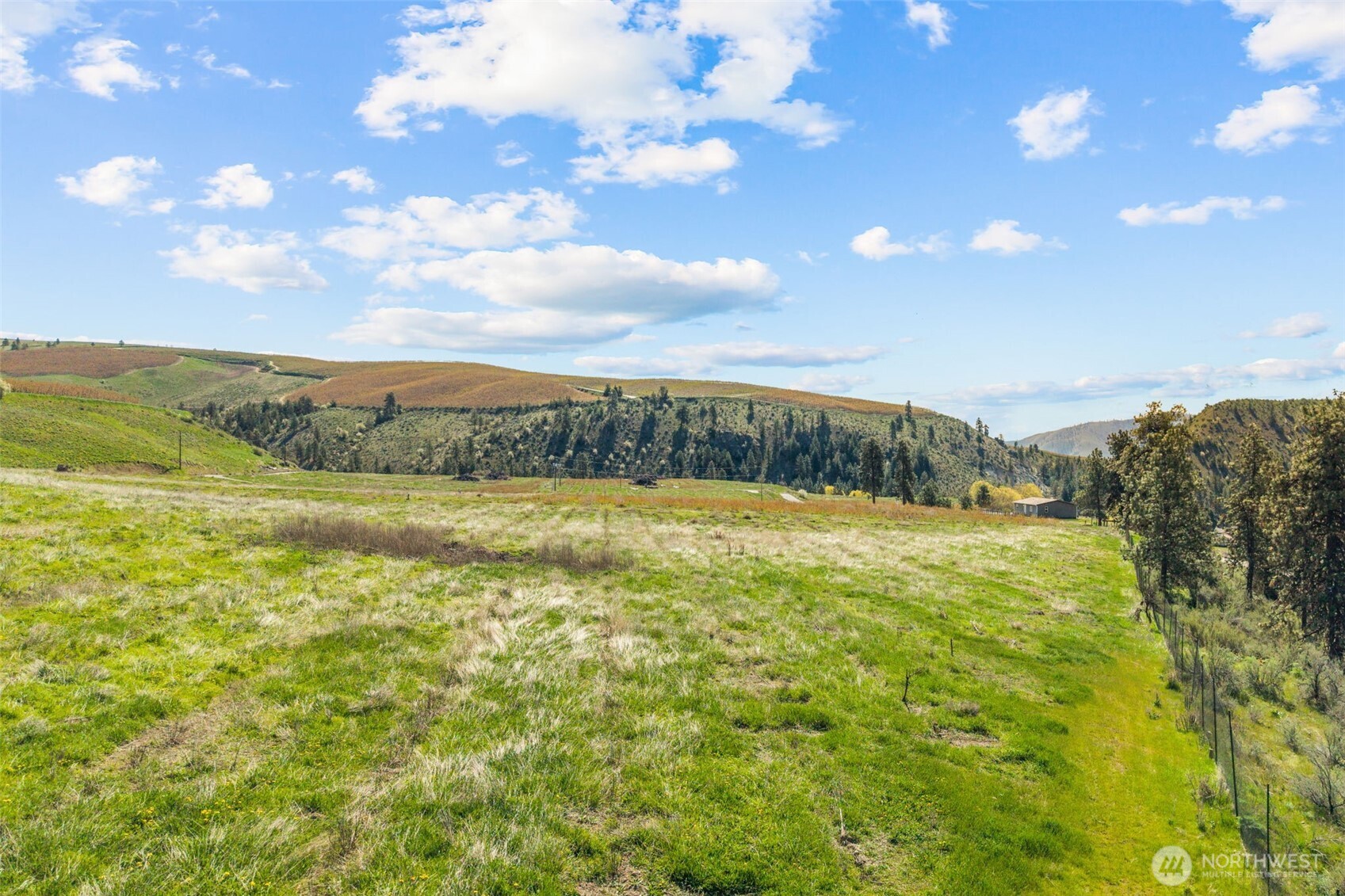 565 Boyd Loop Road Manson, WA 98831 - Photo 26 of 27 a view of an ocean from a yard