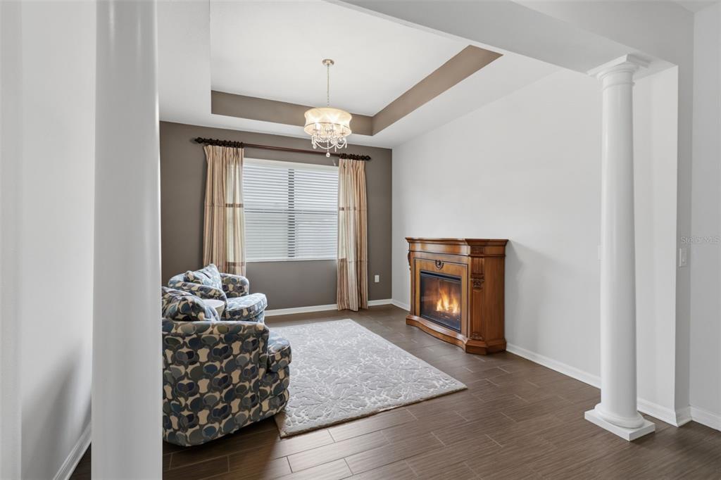34144 Spring Oak Trail Wesley Chapel, FL 33545 - Photo 17 of 37 a living room with furniture and a fireplace