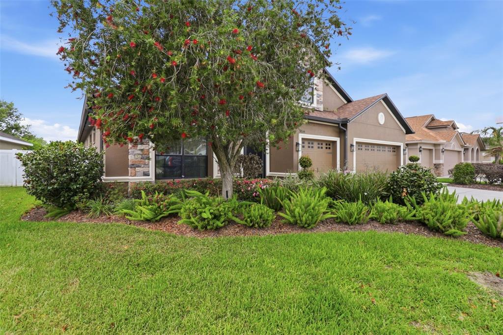 34144 Spring Oak Trail Wesley Chapel, FL 33545 - Photo 25 of 37 a front view of a house with a yard