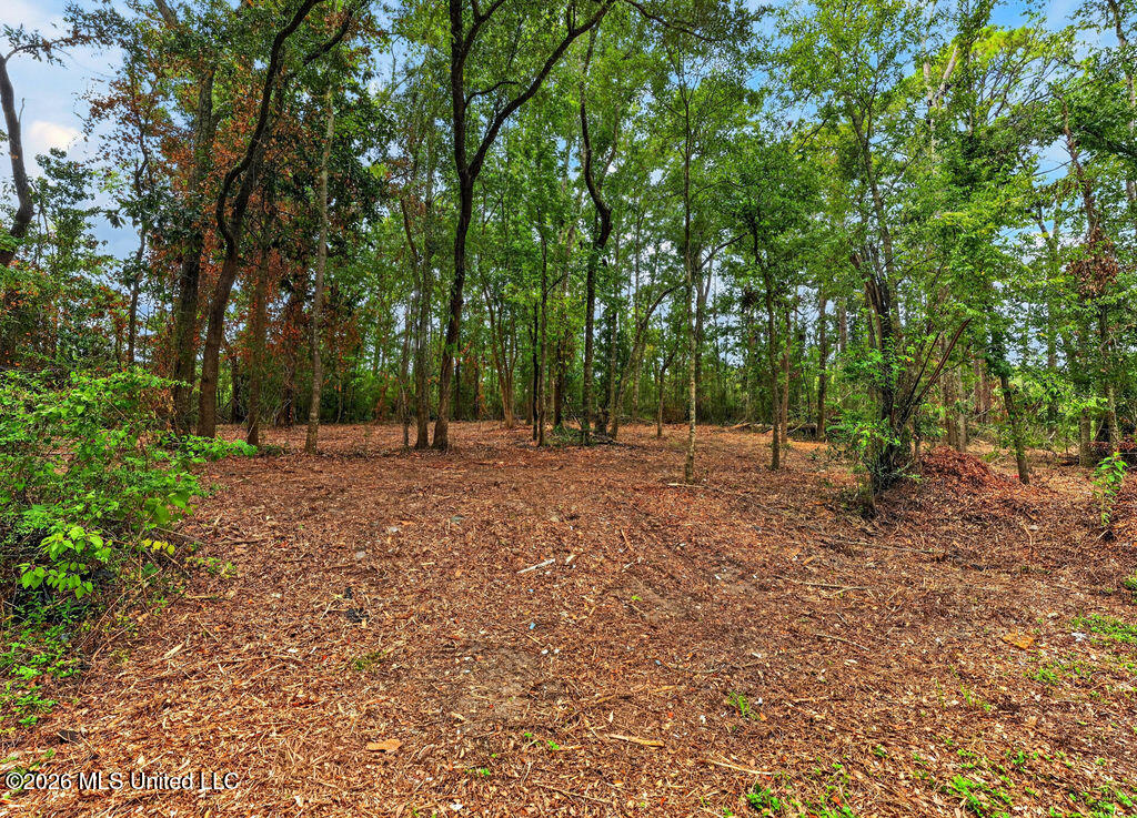 Bellview Avenue Moss Point, MS 39563 - Photo 5 of 16 BellviewAveLot-4