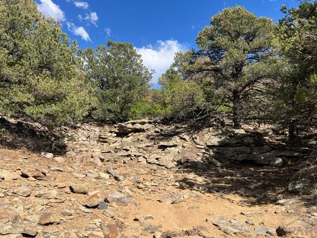 96 River Ridge Trail Walsenburg, CO 81089 - Photo 17 of 28