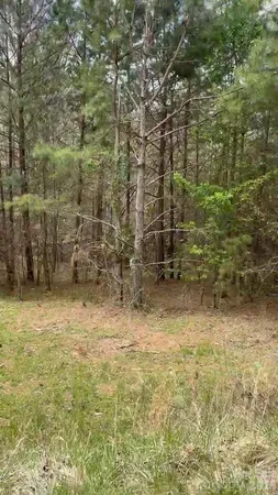 $22,500 | 117 Church View Drive, Lawndale, NC 28090