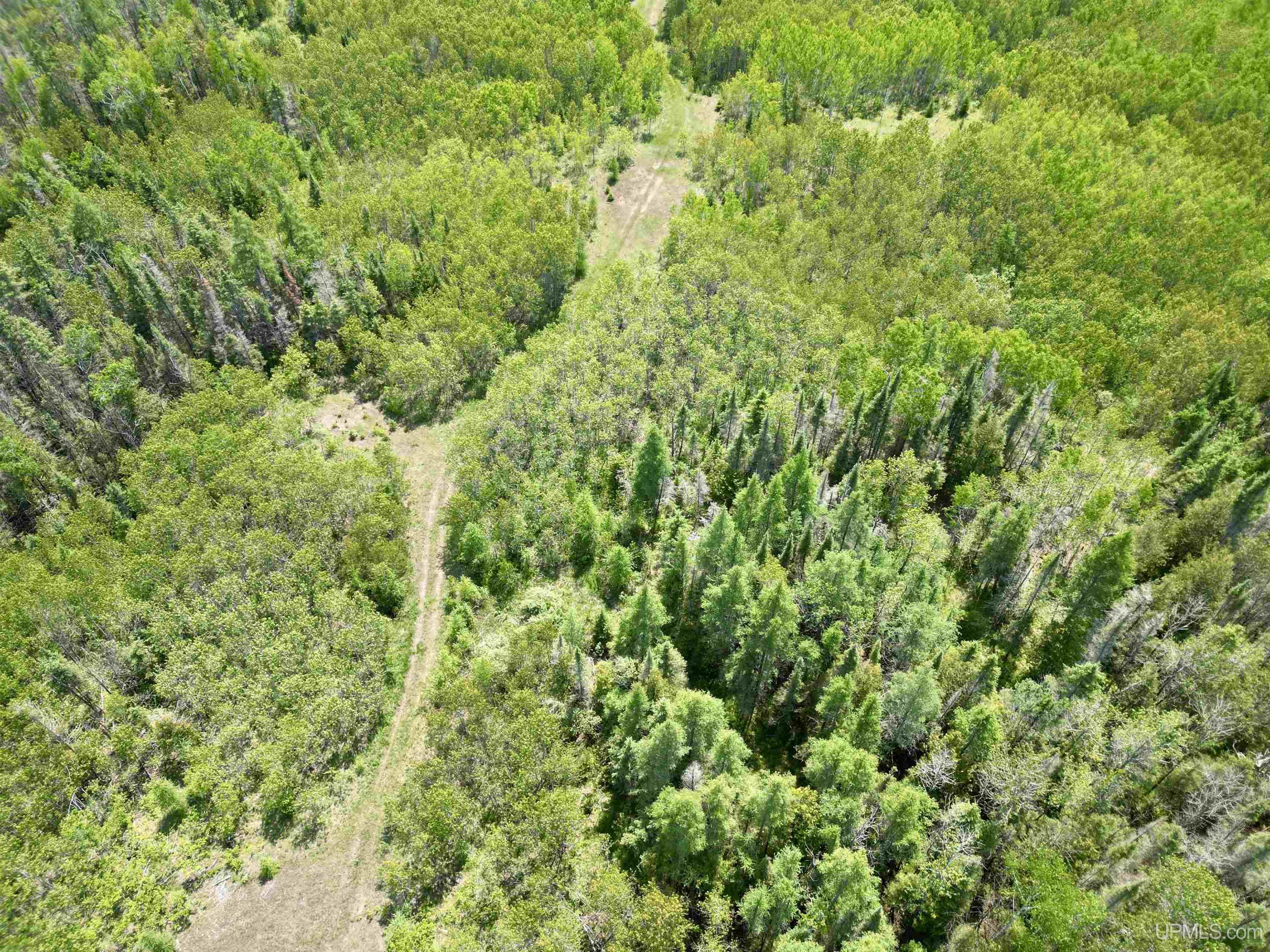 400 Rd Perronville Mi 49807 Road Bark River, MI 49807 - Photo 14 of 30