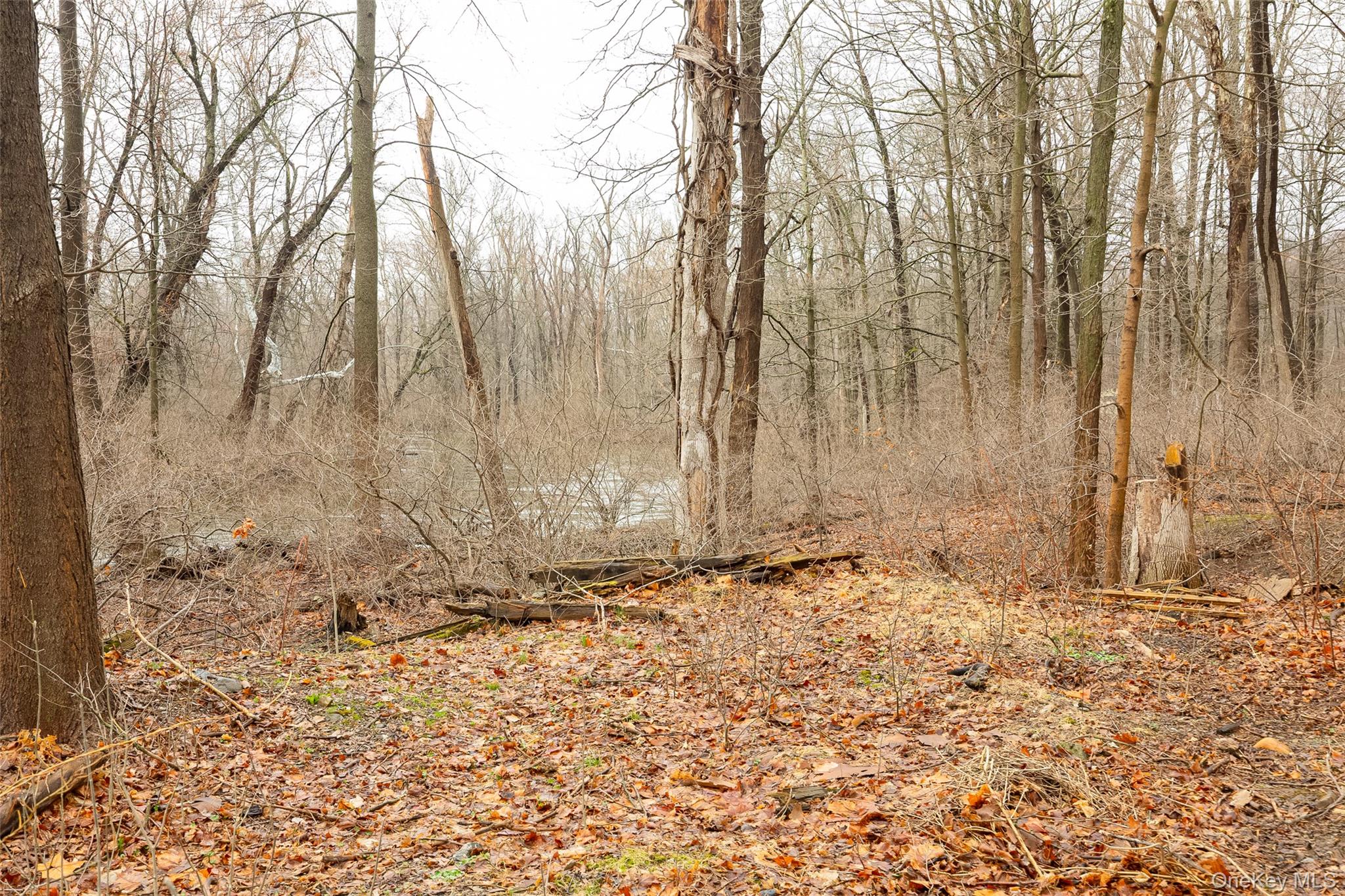 21 Old Town Road Beacon, NY 12508 - Photo 9 of 38