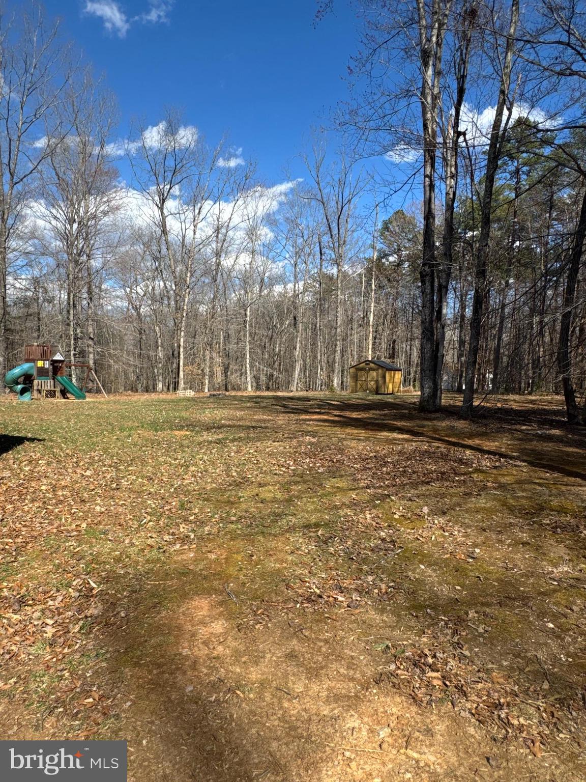21362 Walking Deer Lane Orange, VA 22960 - Photo 5 of 34 Back yard view