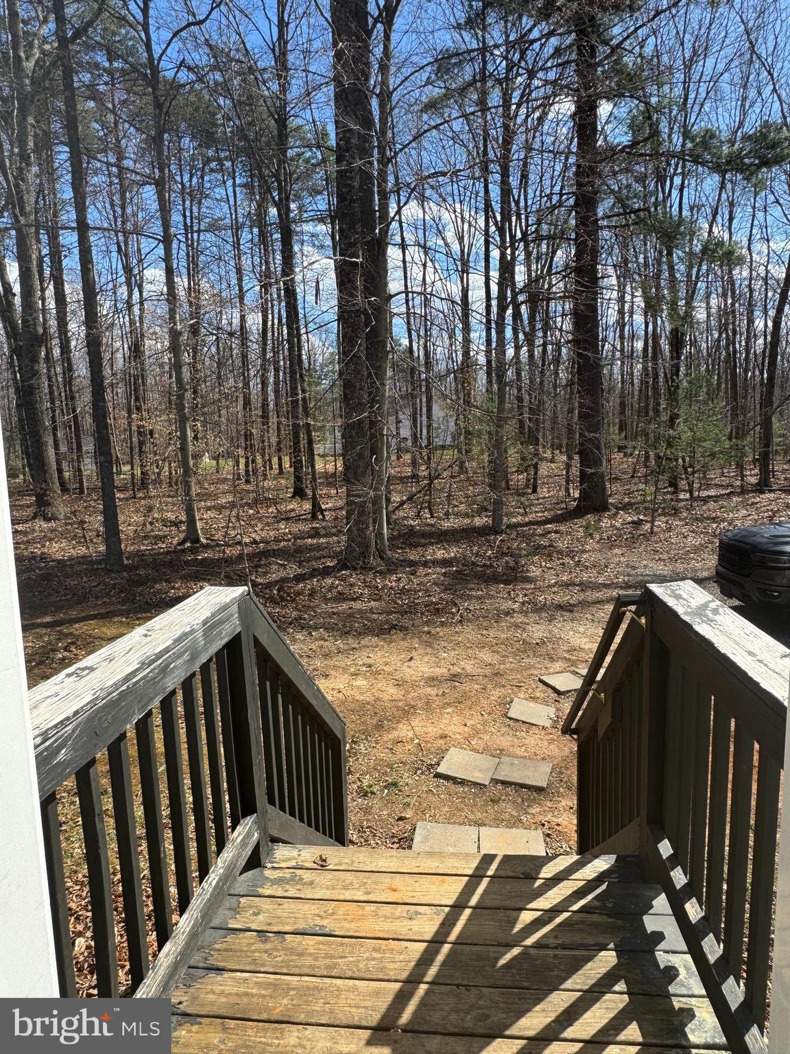 21362 Walking Deer Lane Orange, VA 22960 - Photo 10 of 34 View from side door