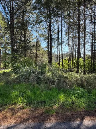 $29,400 | 112 Seafoam Road, Whitethorn, CA 95589