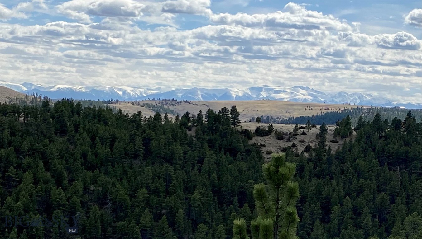 136 Winding River Road Reed Point, MT 59069 - Photo 1 of 1 Bear Tooth Mountains