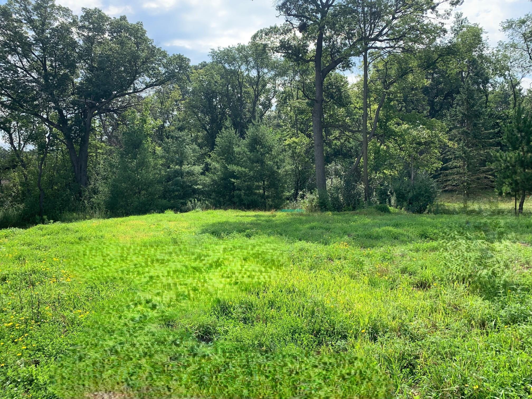 11798 Azure Lane Inver Grove Heights, MN 55077 - Photo 2 of 3