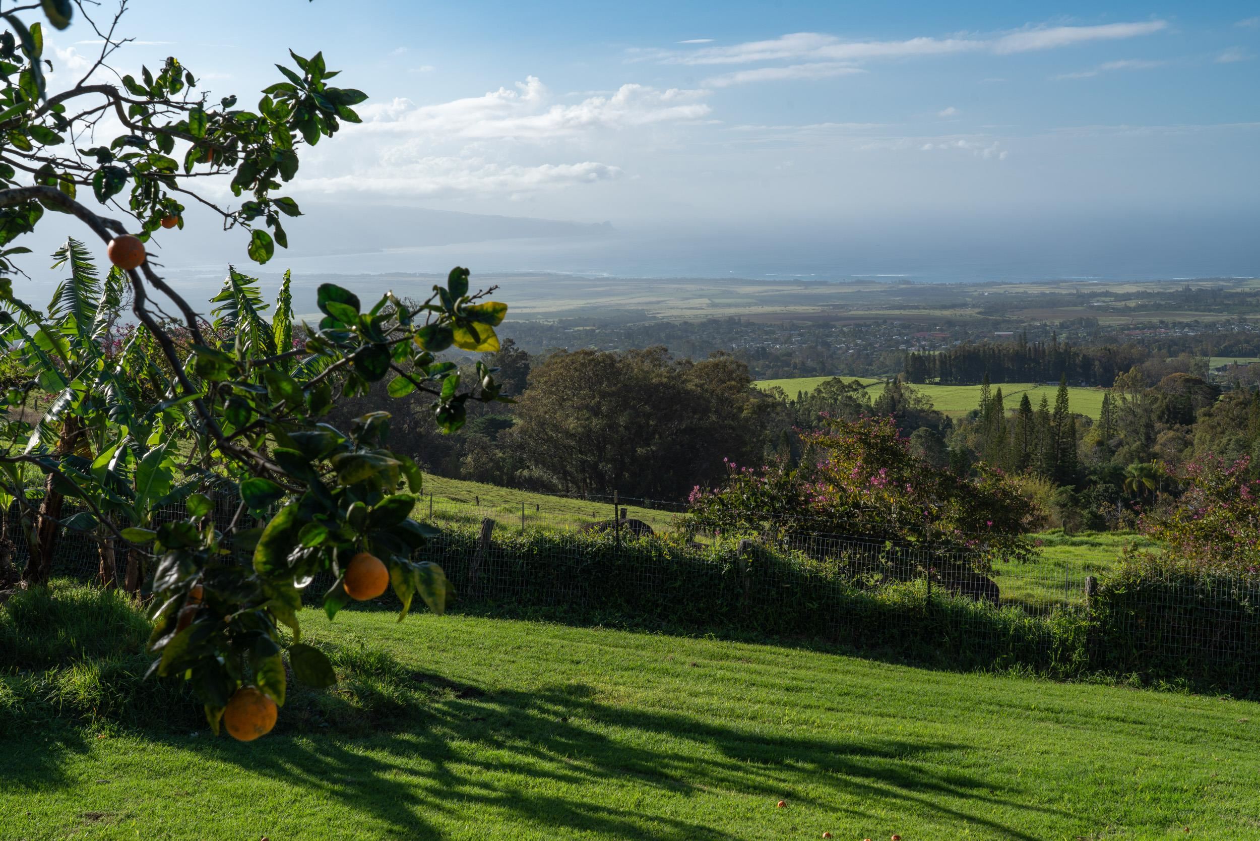 1630 Olinda Road Makawao, HI 96768 - Photo 49 of 50 a view of a lake with a yard