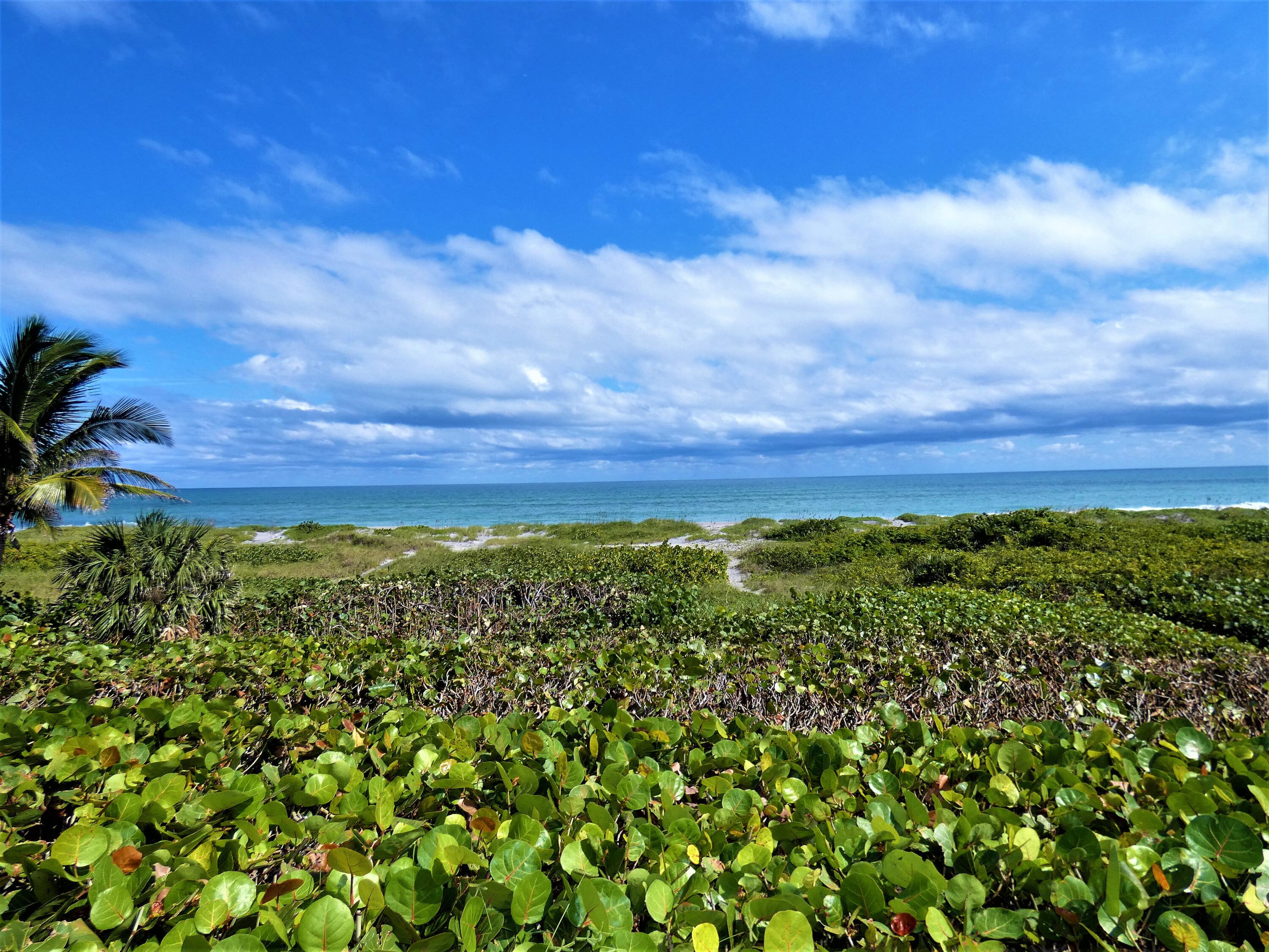 521 South Beach Road Jupiter Island, FL 33455 - Photo 24 of 24 P1000951 (2)