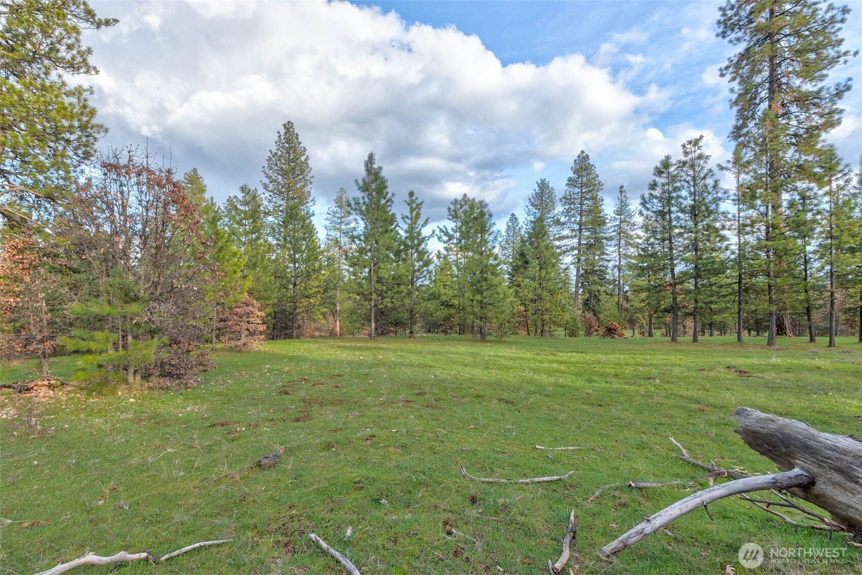 16 Grayback Road Goldendale, WA 98620 - Photo 19 of 25 Gallery Image 19