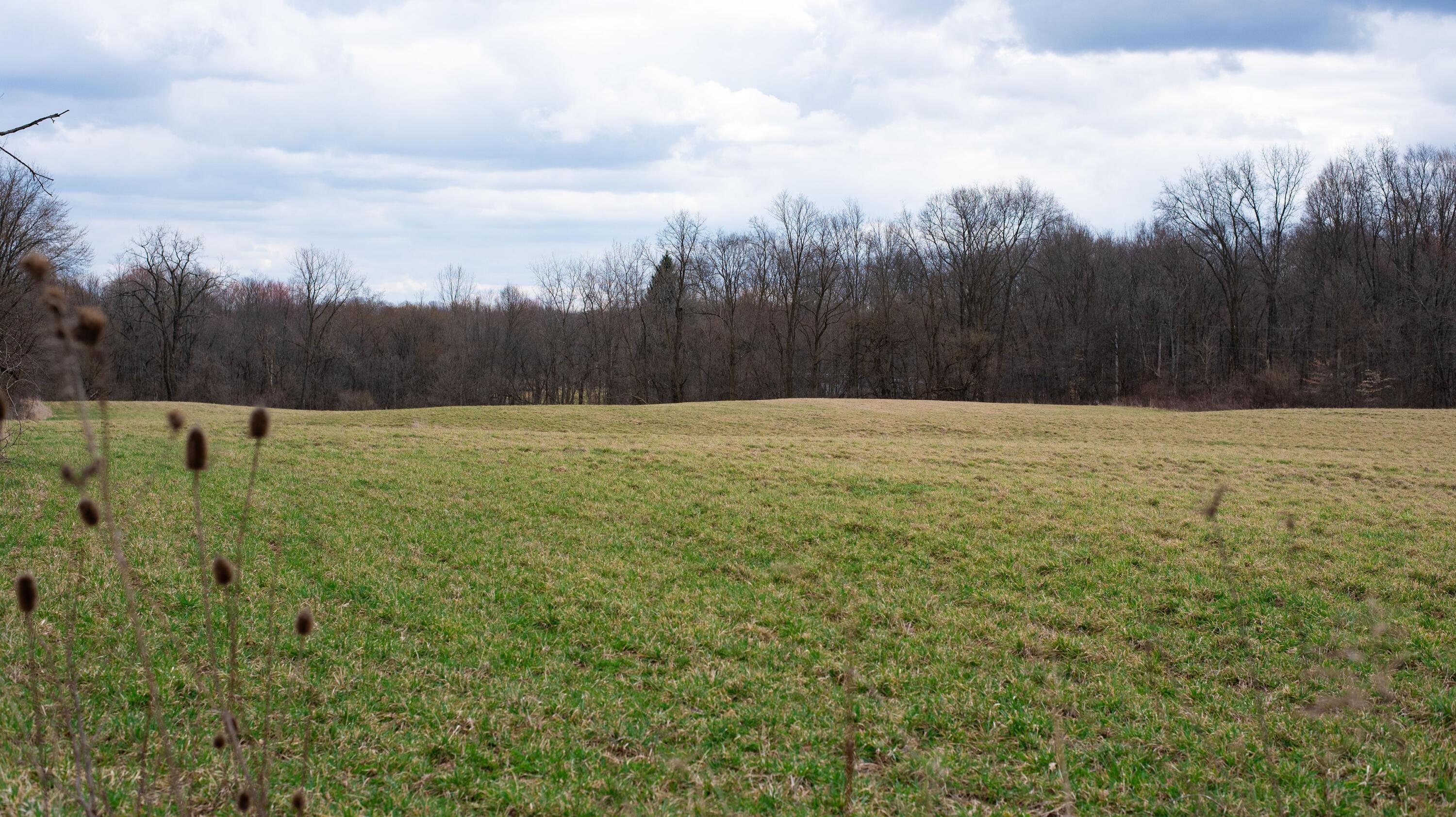 0 Twp Road Fredericktown, OH 43019 - Photo 6 of 15 3-1