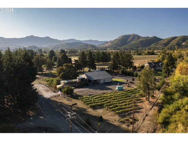 a view of a house with mountain view