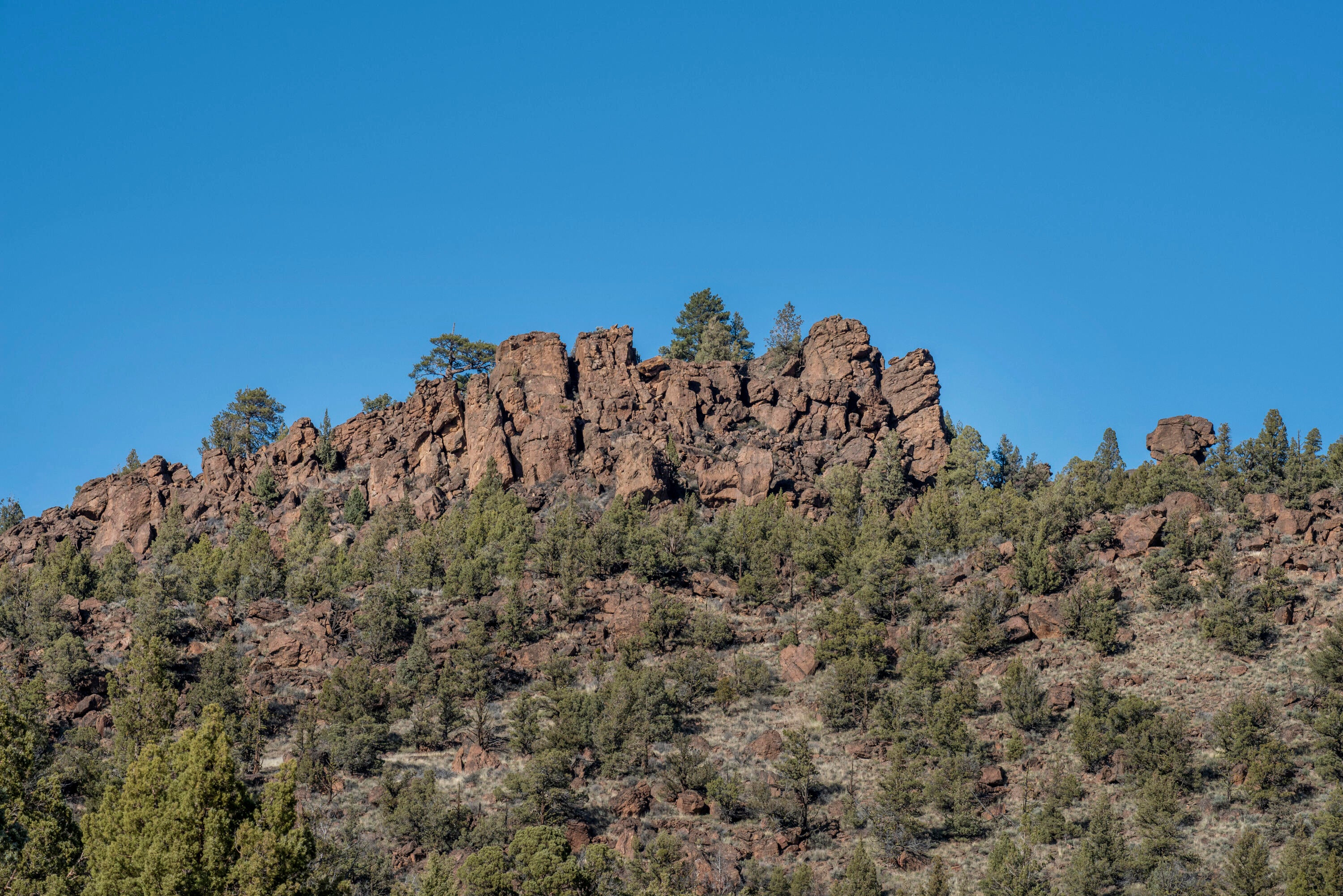 9983 Pavati Road Prineville, OR 97754 - Photo 19 of 29 DSC_0398