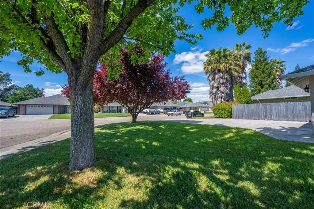 245 Shelley Way Red Bluff, CA 96080 - Photo 56 of 63