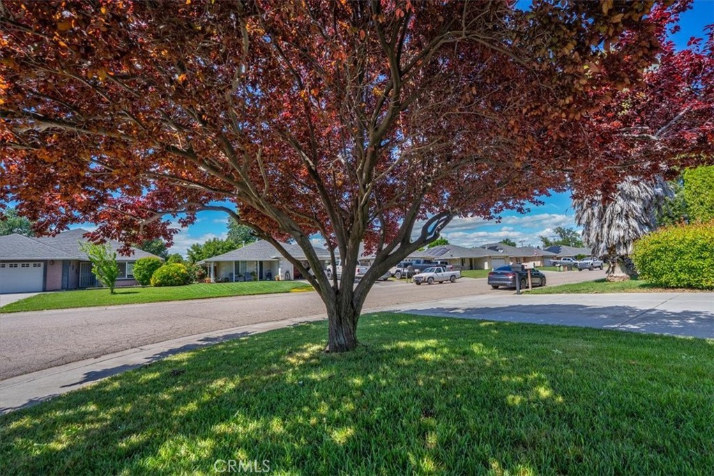 245 Shelley Way Red Bluff, CA 96080 - Photo 57 of 63