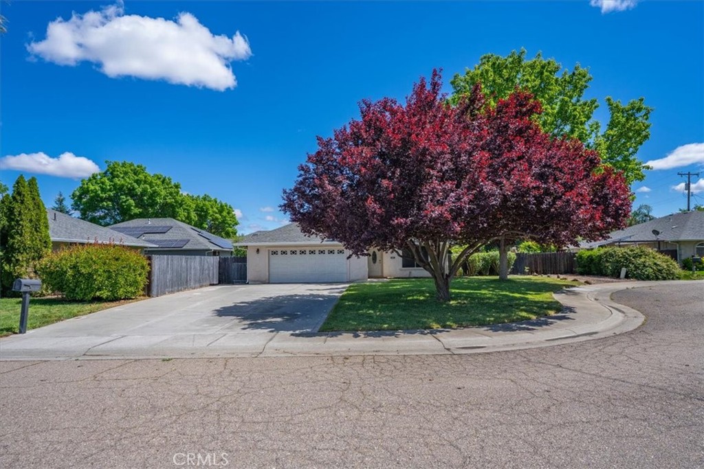245 Shelley Way Red Bluff, CA 96080 - Photo 58 of 63