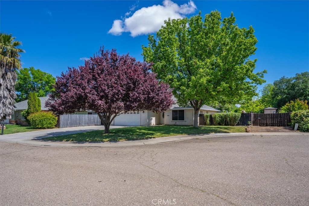 245 Shelley Way Red Bluff, CA 96080 - Photo 59 of 63