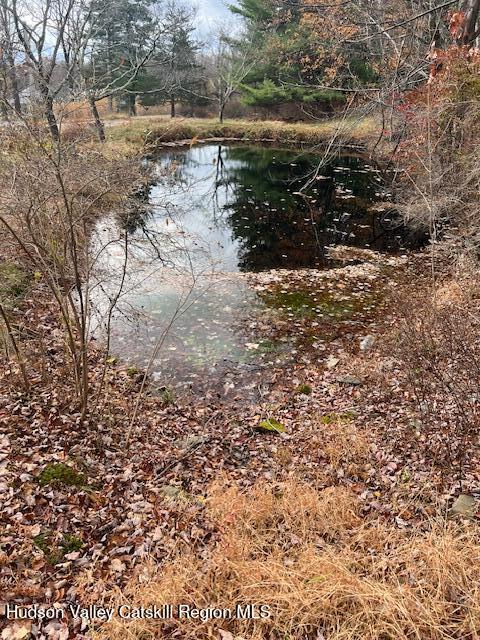 252 Upper Samsonville Road Olivebridge, NY 12461 - Photo 6 of 6 pond