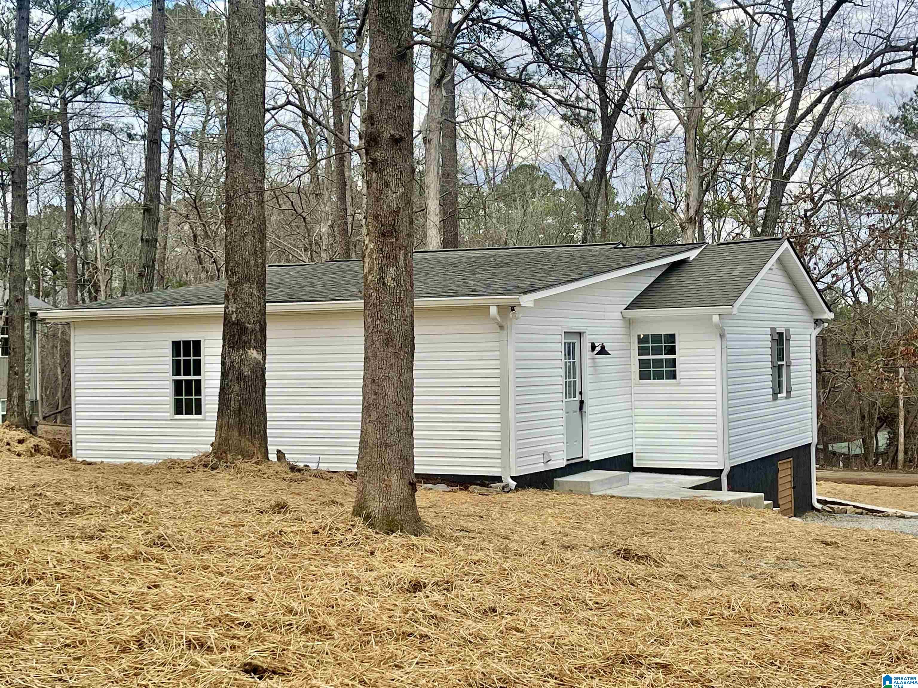 1501 Mountain Lake Road Warrior, AL 35180 - Photo 10 of 51