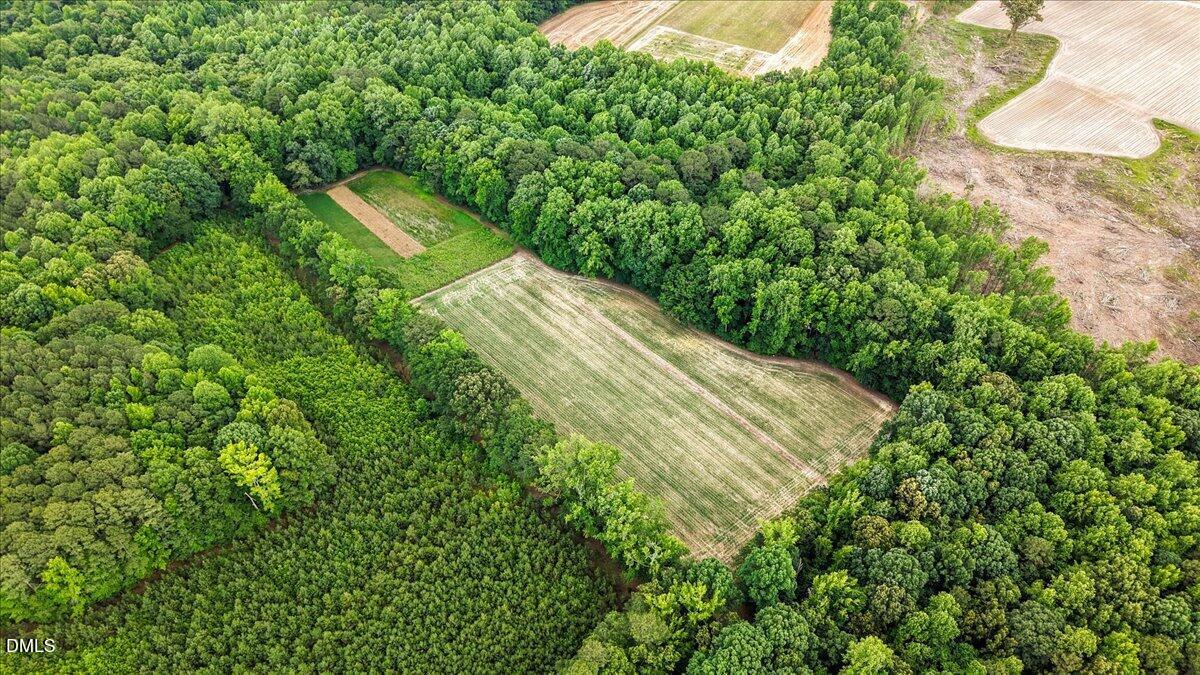 0 Antioch Church Road Middlesex, NC 27557 - Photo 23 of 26