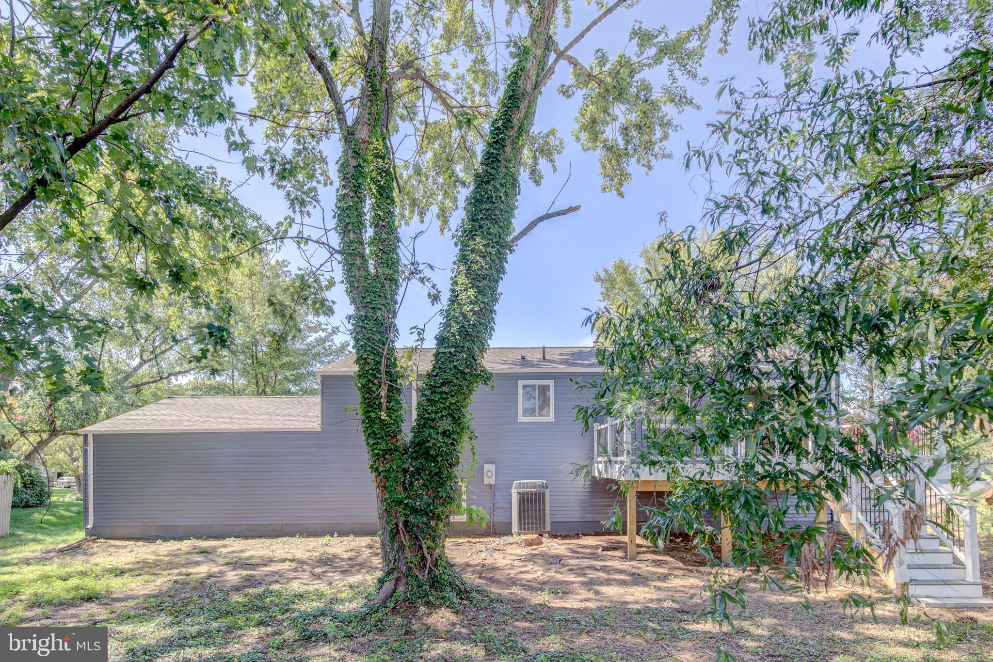 7007 Bedrock Road Alexandria, VA 22306 - Photo 38 of 42 Gallery Image 38