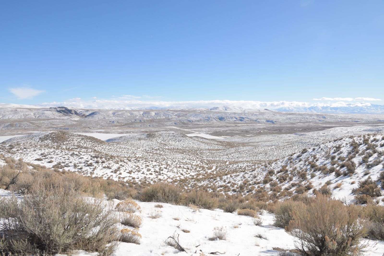 Cedar Street Elko, NV 89801 - Photo 10 of 14