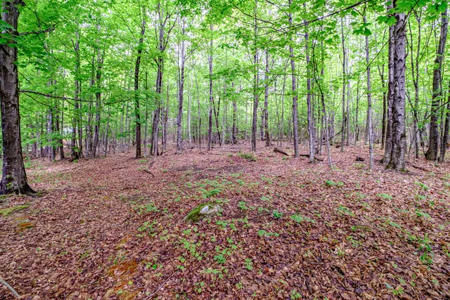 $775,000 | 217 Fire Ln 26, Brownfield, ME 04010