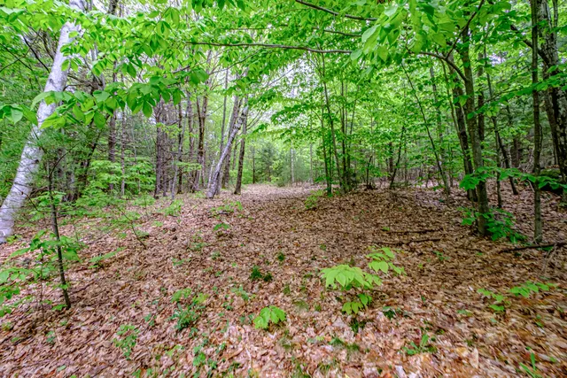 $775,000 | 217 Fire Ln 26, Brownfield, ME 04010