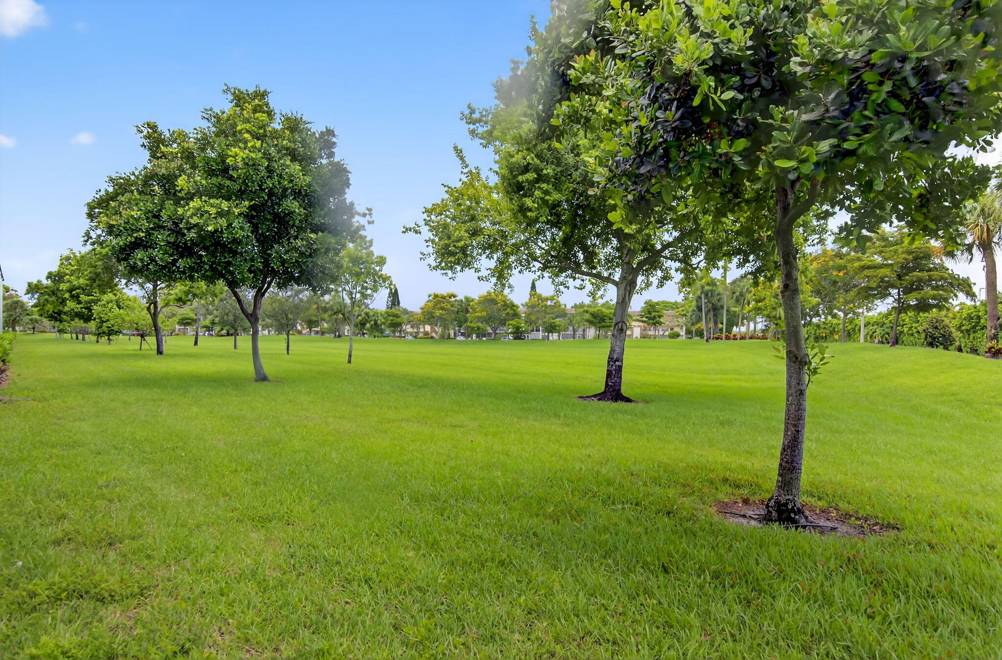 1001 Lincoln A Boca Raton, FL 33434 - Photo 17 of 37 34-web-or-mls-DSC_1612