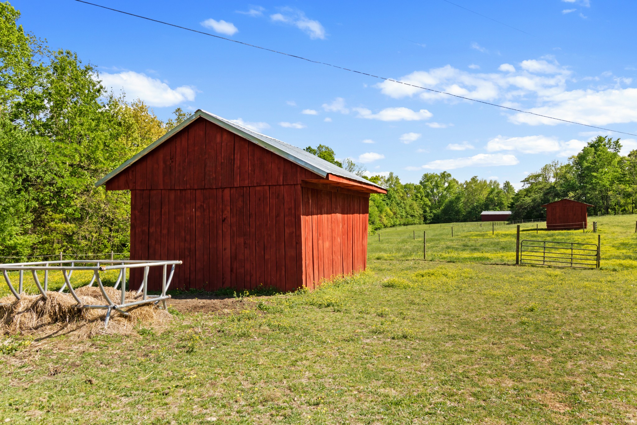 9043 Cross Plains Road White House, TN 37188 - Photo 36 of 52