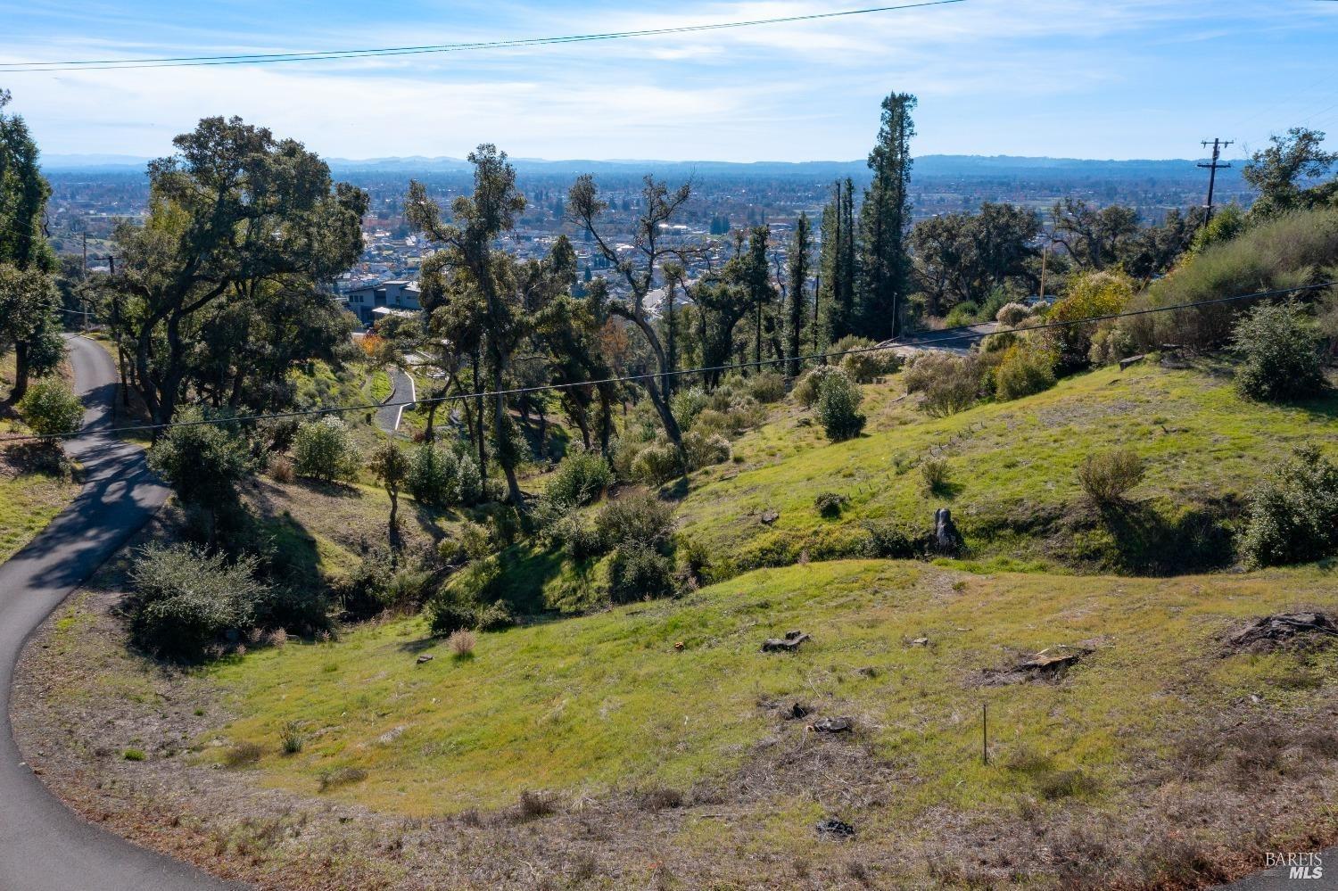 1064 Wikiup Drive Santa Rosa, CA 95403 - Photo 3 of 14 a view of a yard