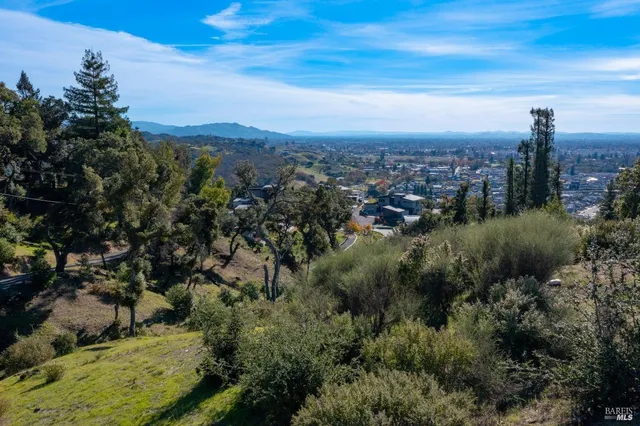 a view of a city with lush green forest
