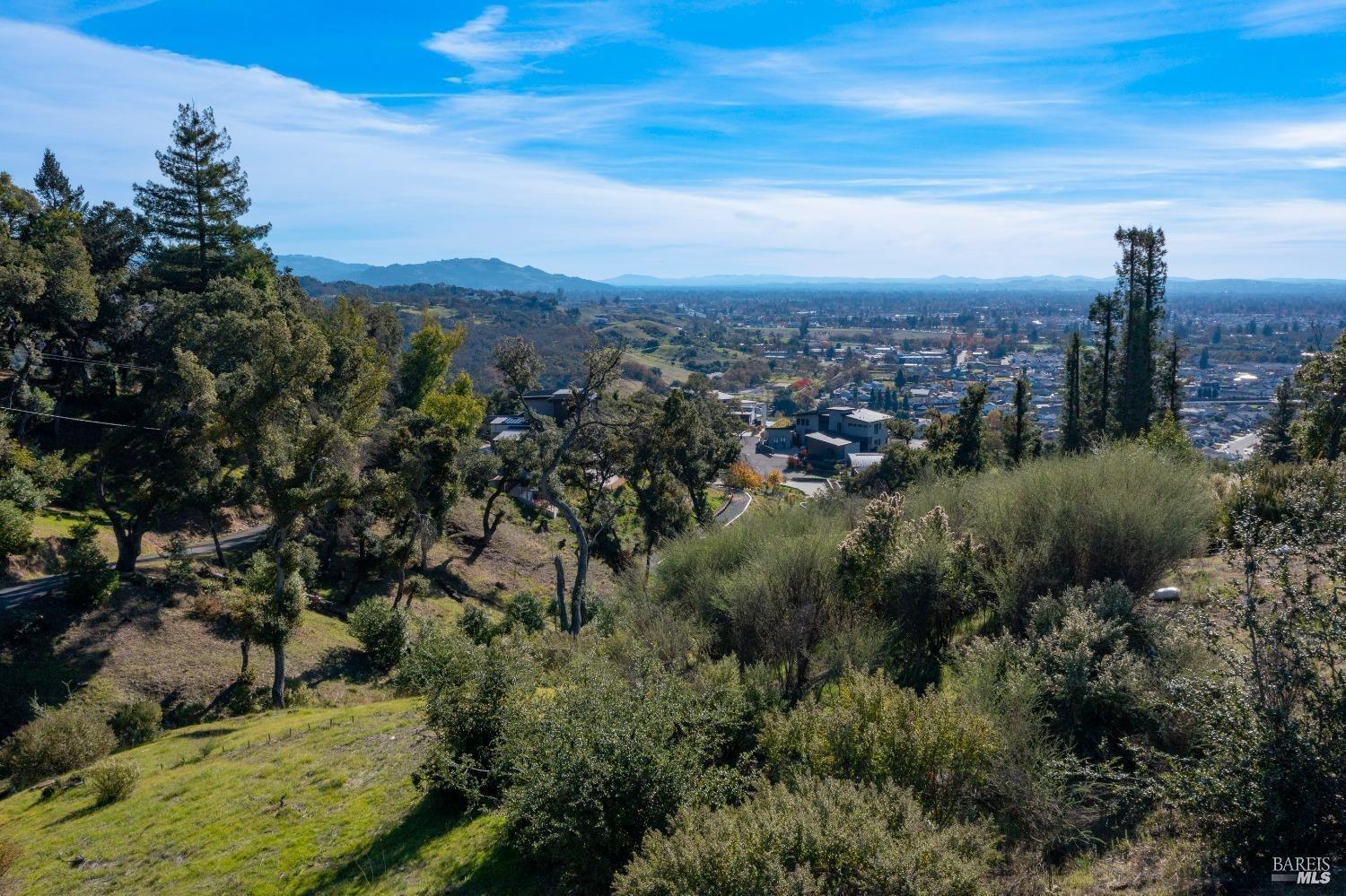 1064 Wikiup Drive Santa Rosa, CA 95403 - Photo 7 of 14 a view of a city with lush green forest
