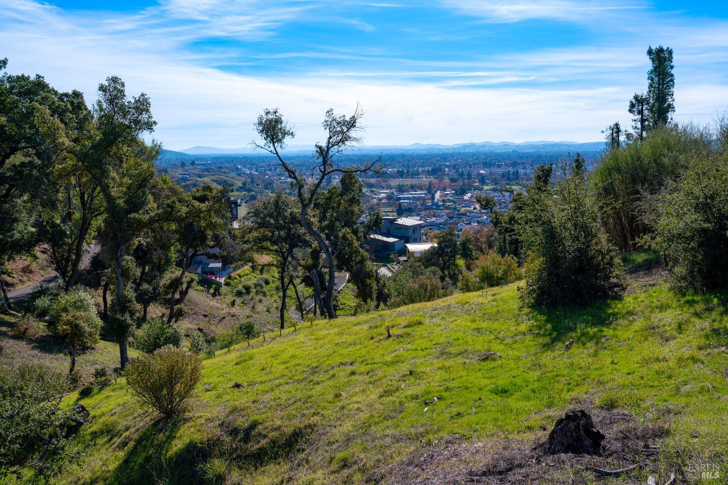 1064 Wikiup Drive Santa Rosa, CA 95403 - Photo 9 of 14 a view of a garden