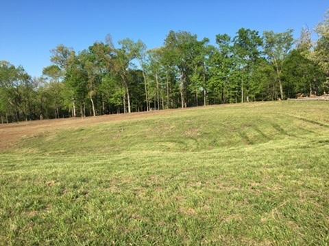 0 Raders Sidetrack Road, Unit 3236 Greeneville, TN 37743 - Photo 3 of 9 image3