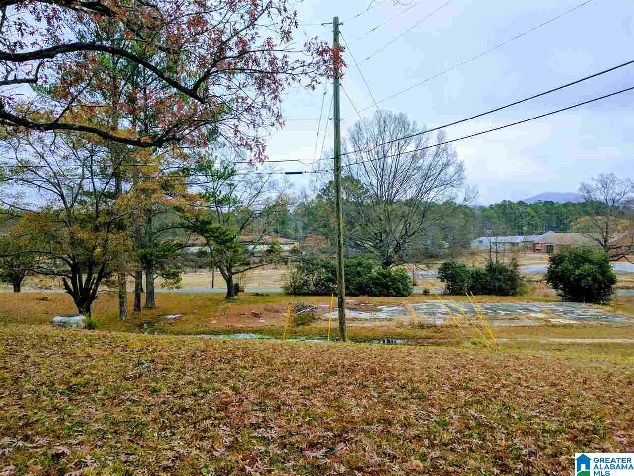 Baltzell Gate Road, Unit 1 45 Anniston, AL 36205 - Photo 5 of 19