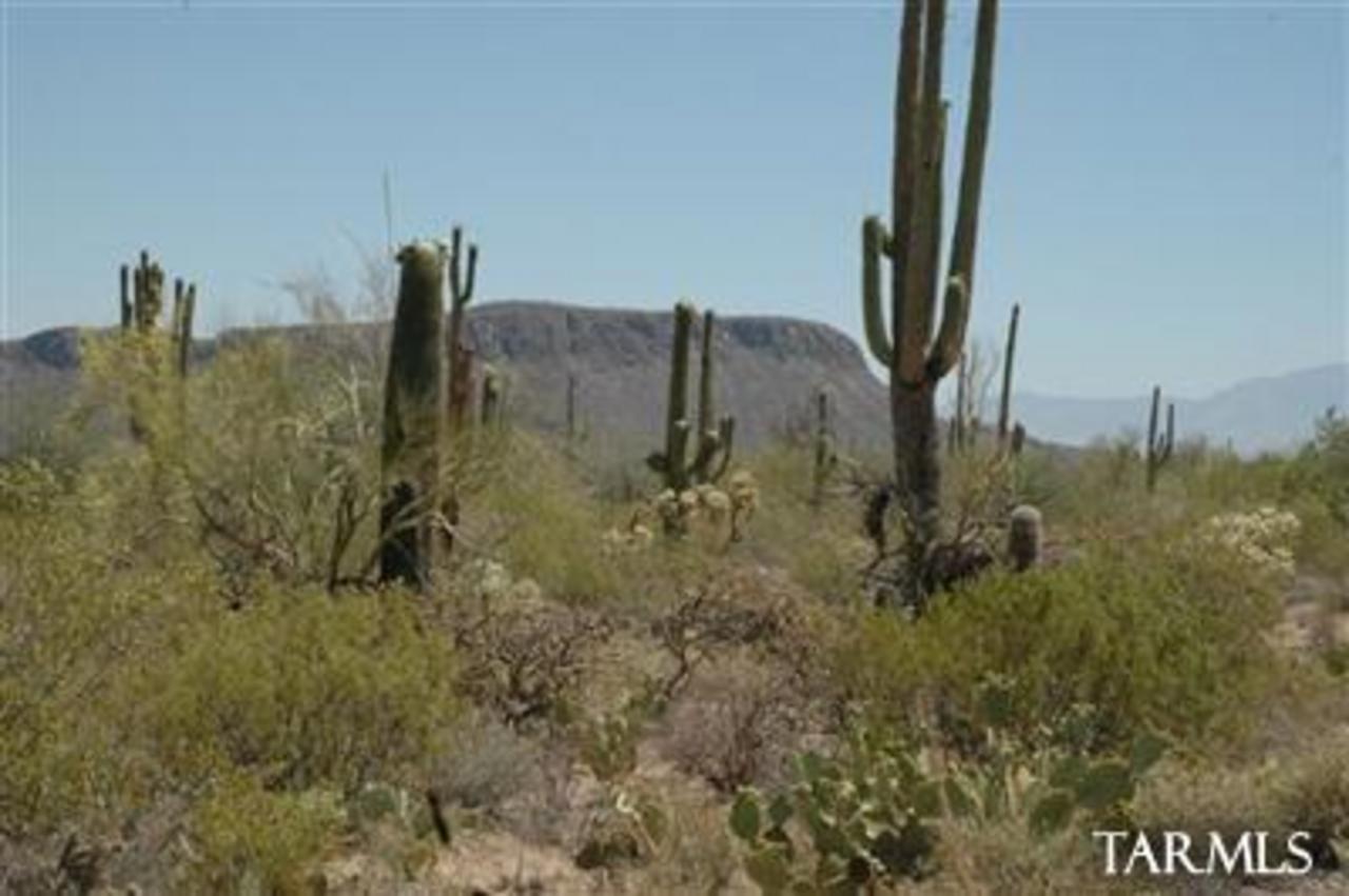 9800 West Rudasill Road Tucson, AZ 85743 - Photo 4 of 10 Gallery Image 4