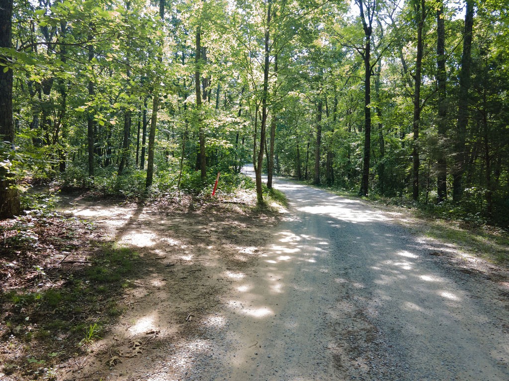 0 Valley View Drive Altamont, TN 37301 - Photo 12 of 23