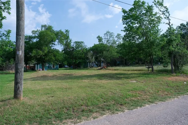 a view of a trees in a park