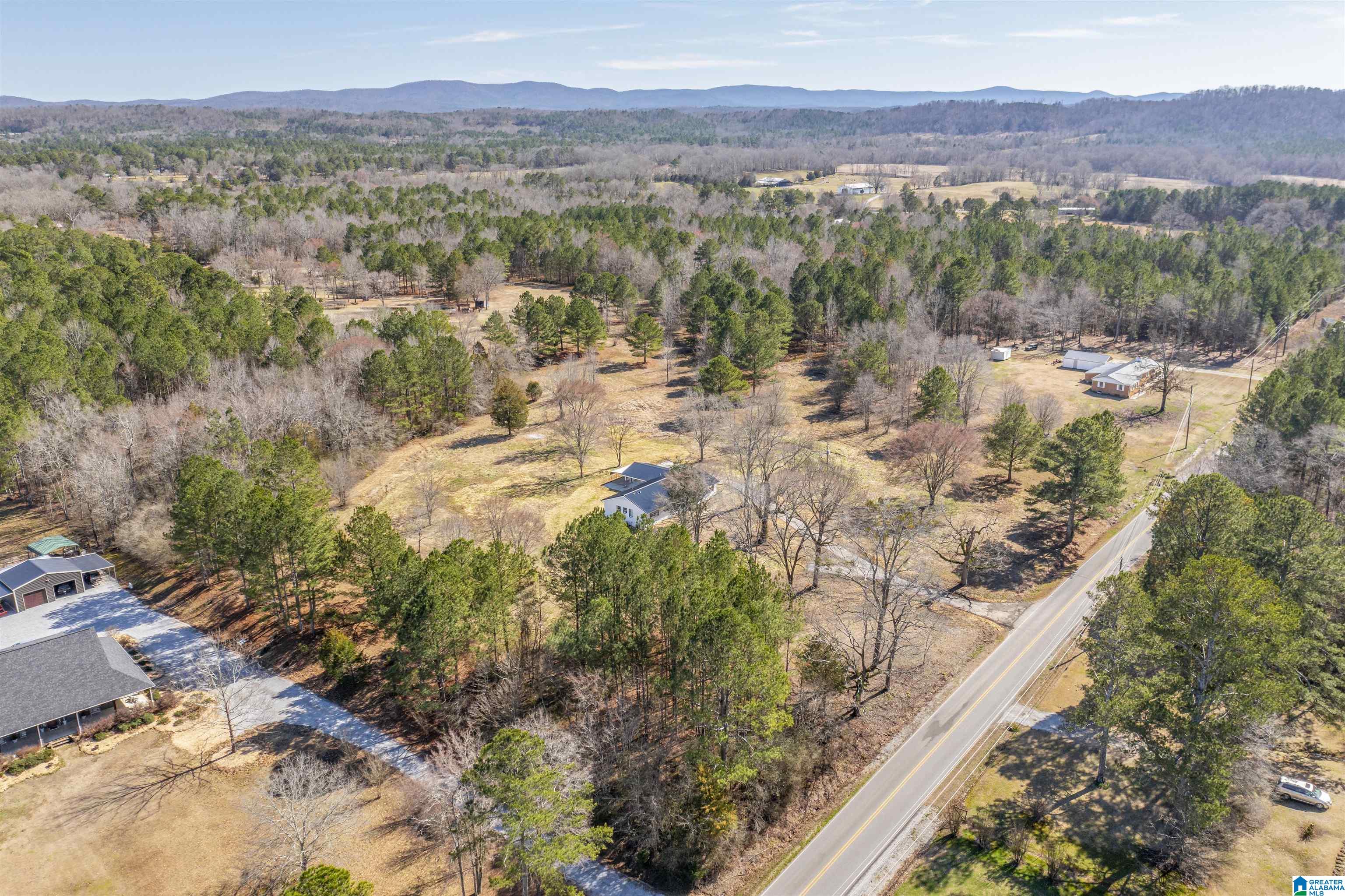 4592 Cedar Springs Road Jacksonville, AL 36265 - Photo 34 of 37