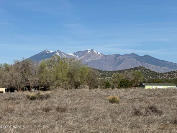 a view of a lush green field with mountains in the background
