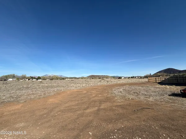 a view of ocean and trees