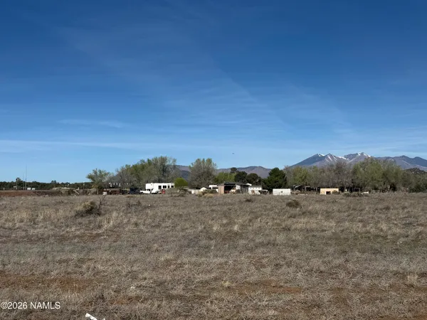 a view of a dry yard with wooden fence