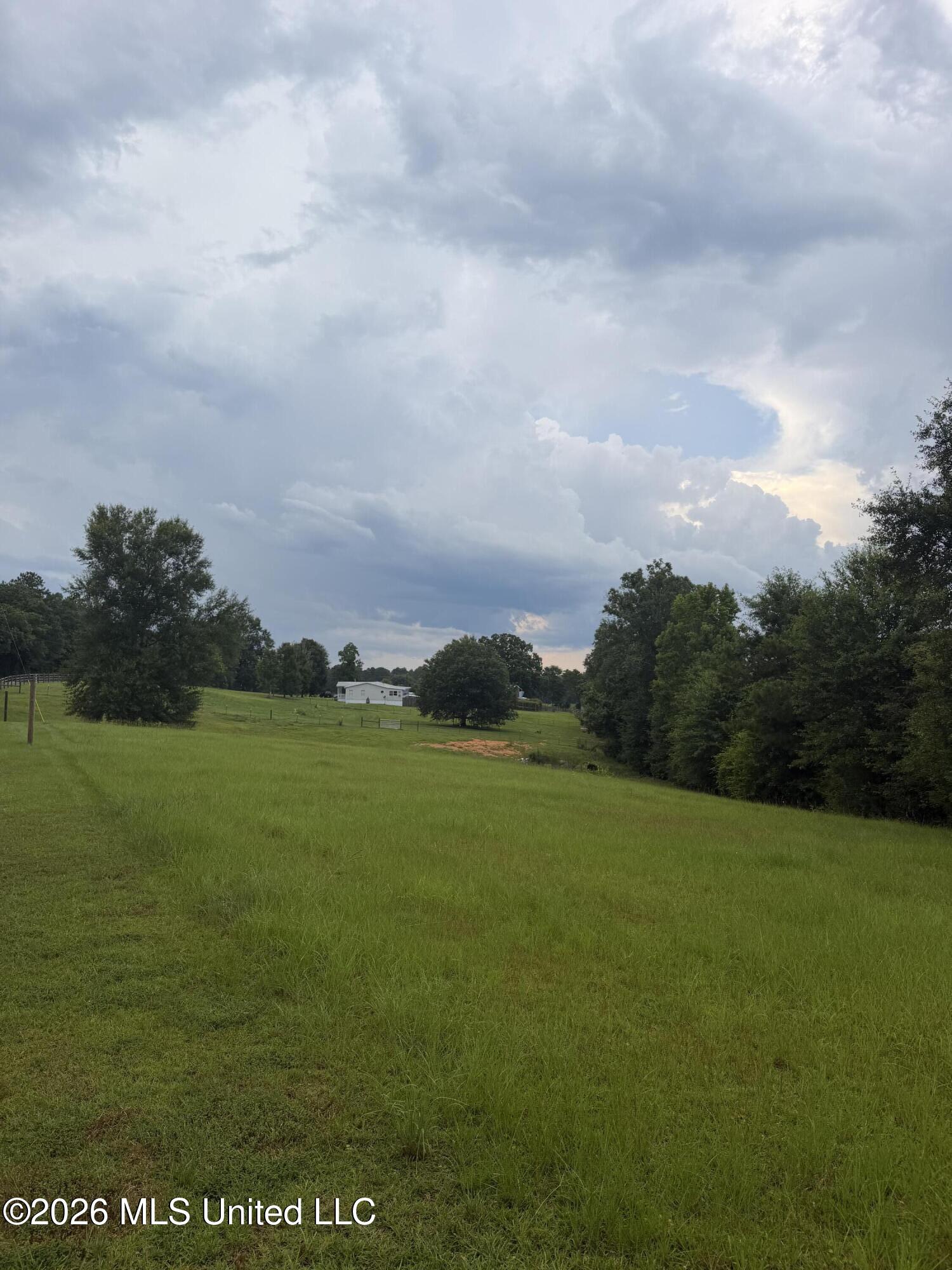 130 Buck Branch School Road Poplarville, MS 39470 - Photo 14 of 14 IMG_1724