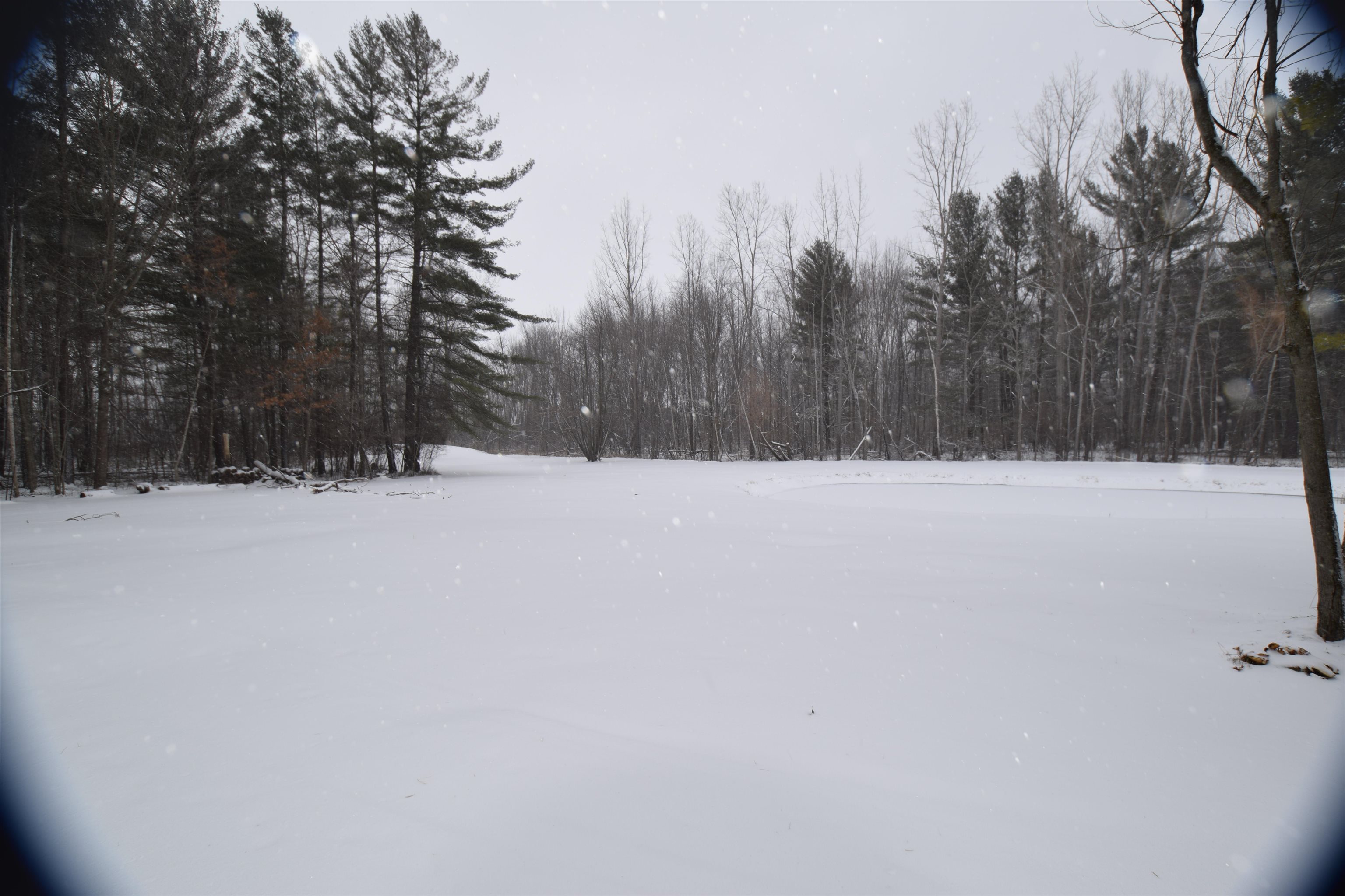 1363 East Shaffer Road Hope, MI 48628 - Photo 28 of 35