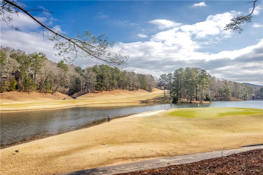 135 Chestnut Rise Trail, Unit 441C Jasper, GA 30143 - Photo 56 of 61
